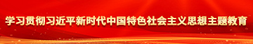 国产爆操wwwww学习贯彻习近平新时代中国特色社会主义思想主题教育